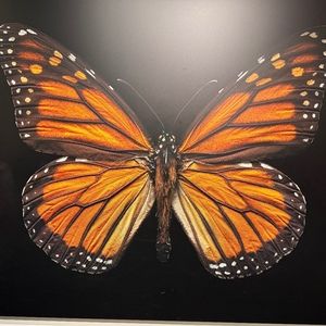 Meet your Posher, Gabriela